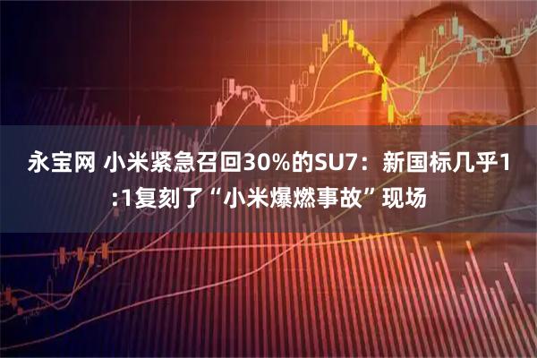 永宝网 小米紧急召回30%的SU7：新国标几乎1:1复刻了“小米爆燃事故”现场