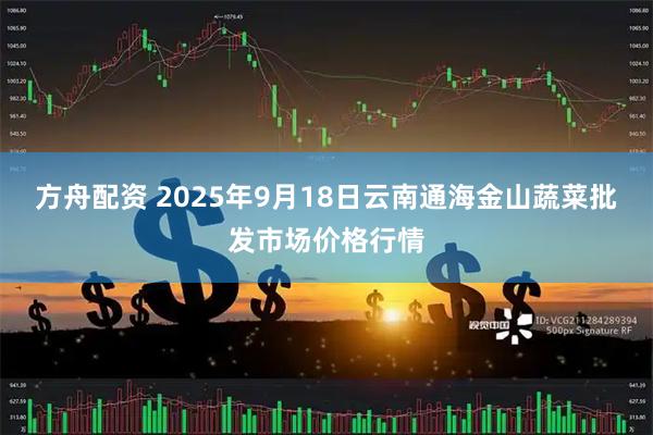 方舟配资 2025年9月18日云南通海金山蔬菜批发市场价格行情