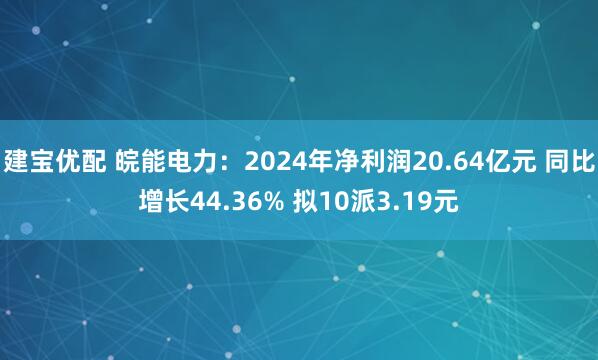 建宝优配 皖能电力：2024年净利润20.64亿元 同比增长44.36% 拟10派3.19元