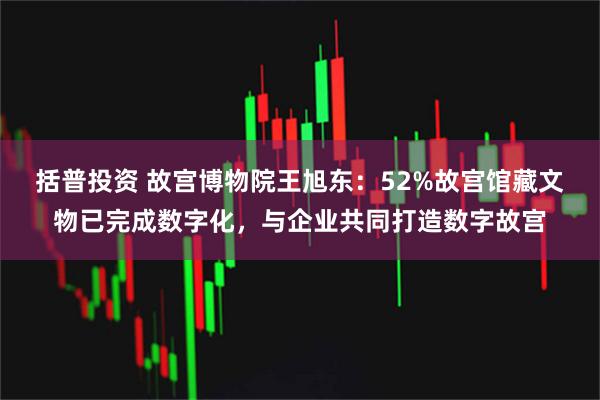 括普投资 故宫博物院王旭东：52%故宫馆藏文物已完成数字化，与企业共同打造数字故宫