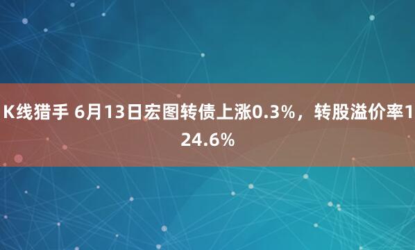 K线猎手 6月13日宏图转债上涨0.3%，转股溢价率124.6%