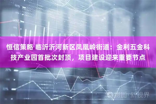 恒信策略 临沂沂河新区凤凰岭街道：金利五金科技产业园首批次封顶，项目建设迎来重要节点